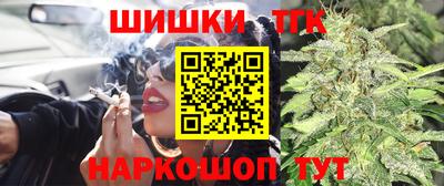 ешки Будённовск