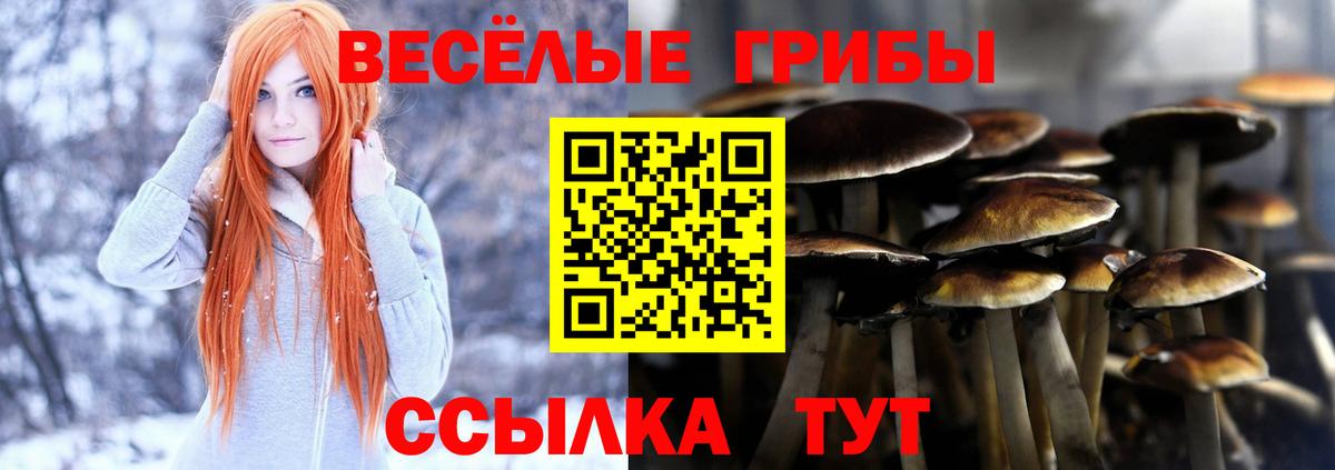 Псилоцибиновые грибы прущие грибы Карасук