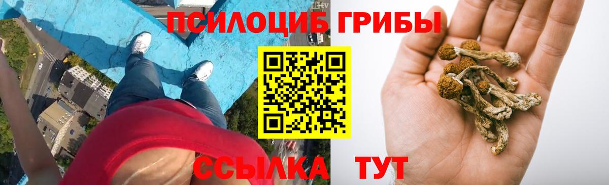 Галлюциногенные грибы Psilocybine cubensis  Вход с VPN  Карасук 